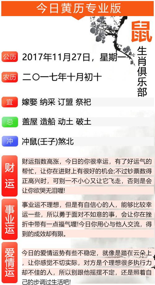生肖鼠人今日运势