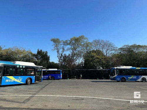 啊啊啊！天大的喜讯！灵隐路32号公交站要开张啦！
