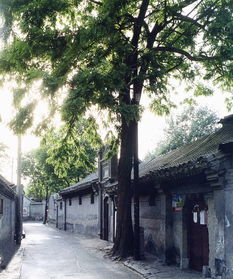 第四天：胡同寻味与老北京风情