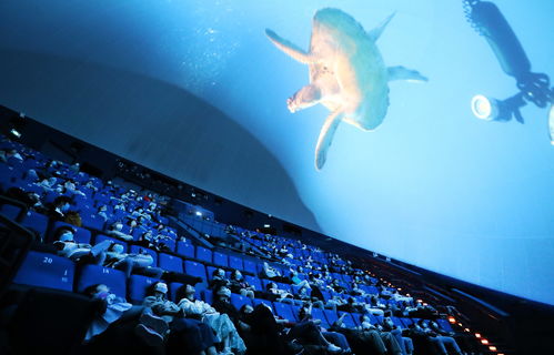 服务质量：被忽视的救命稻草