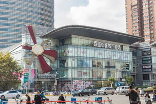 我的独家见解：从猫咪视角看长宁街