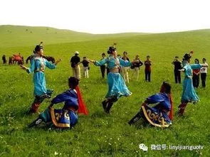 第一天：飞机起飞——噪音+晕机=亲子大考验