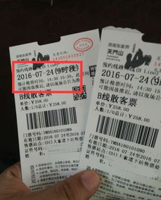 2. 当地旅行社定制行程