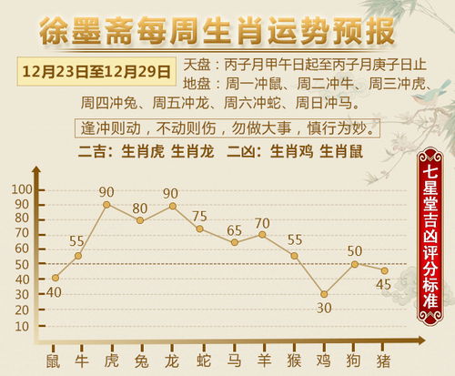 2026年属虎的人每月运势分析具体包括哪些内容？