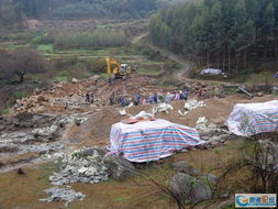 疯了吧！平天山还能这么玩？