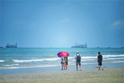 海滨浴场：沙子硌脚的要死！