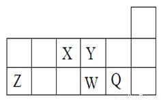 一码定位数字36对应的正确生肖是什么？