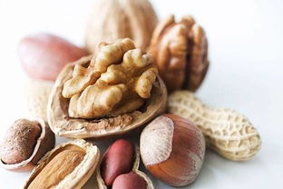 算命说几月份怀孕生男孩准吗？黄芪党参枳壳能否助生男孩真的灵验？