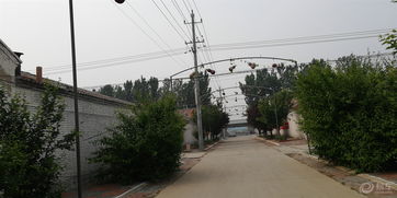 第一眼：葫芦娃他祖宗在这开大会呢