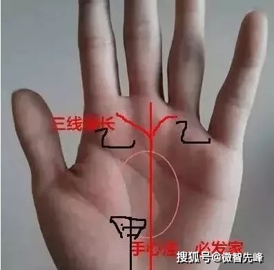 2026年祥批手相如何分析运势，手相上看哪里能改写运势？
