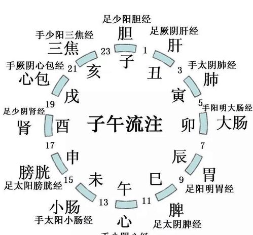 未时：饭后消食操