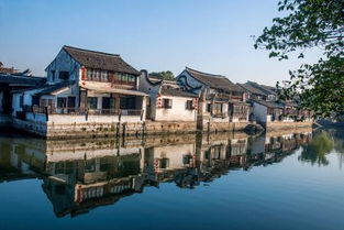 第二站：湖州莫干山 - 较高端民宿与天然美景结合体