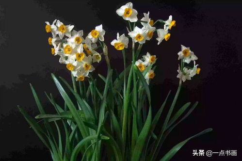 中国，Ｃulture： 花协