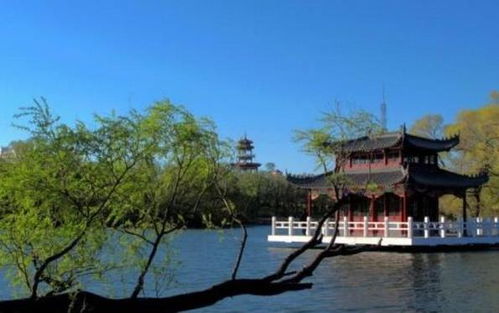 明月岛：一个被低估的景点
