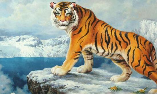 风水轮流转与生肖的奥秘