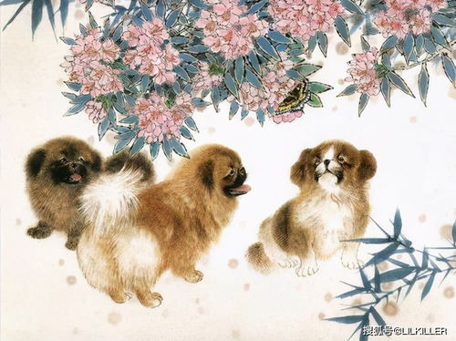 二月重点：