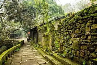 走进时间段隧道：后龙山古道