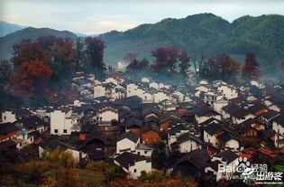 秋季（11-12月）—红叶与雾气交织的梦境