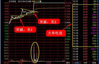 D. 坐向与八字匹配（胡言乱语）