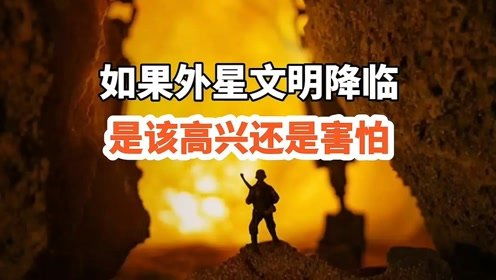 那东西夜晚， 我看到了...