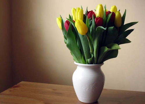 真真假假，风水玄机