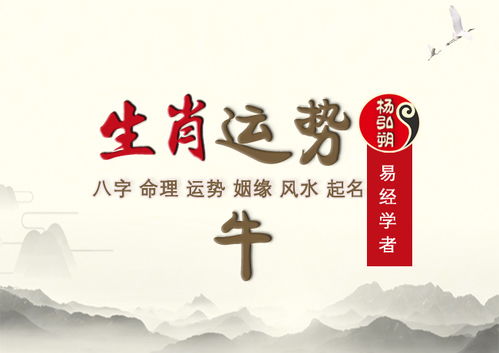 如何提升感情运势