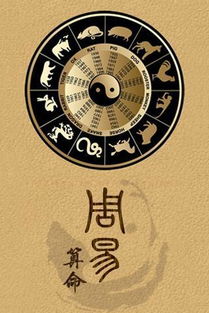 玲花八字命理揭示了哪些人生玄机？她是哪年出生的？