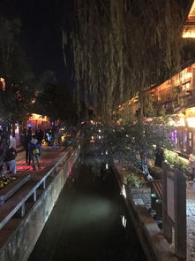 春城
