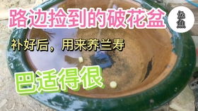 五、  水质监测，星座特点助力判断