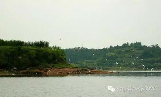 鲁班水库：传说中的宝藏？