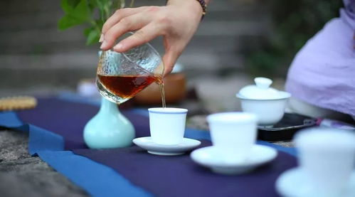 我奶奶的秘密与桑杞菊花茶