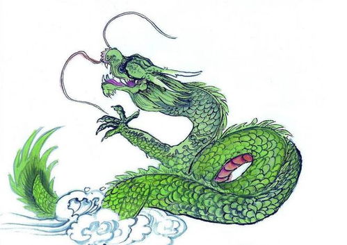风水中国三大干龙,风水干龙大富大贵