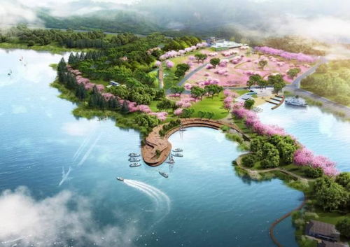 花开 富贵落日余辉映晚霞,美景如诗如画作者赞过.