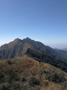 3、景区特色