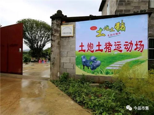 一、 周末的徽县：乱糟糟却又别有风味的“洗浴”天堂