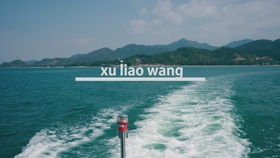 噪音1：突发事件现场报道
