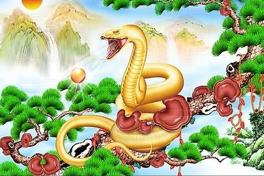 2026年属蛇的人今年结婚选择哪一天最为吉利？
