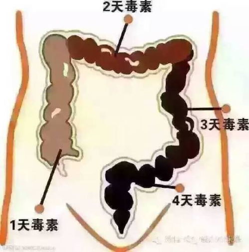 【恐怖实录】半夜照镜子发现脖子血管变紫？