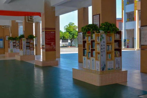 传统方式理论 vs 现代化医学