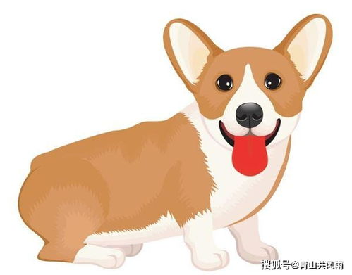 2026年属狗的人感情婚姻运势如何？2026年属狗的婚姻状况会怎样？
