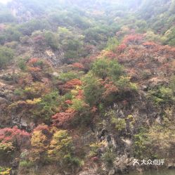 如何避免被坑？实用「查询+省钱」指南 🤑🤑🤑