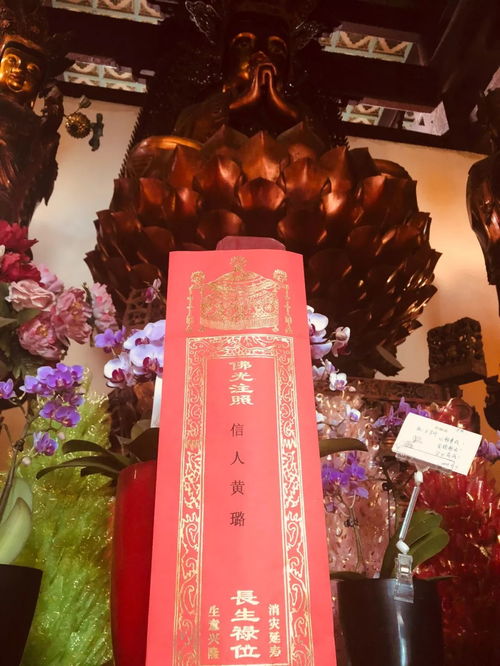 前言：时光荏苒，感恩之情