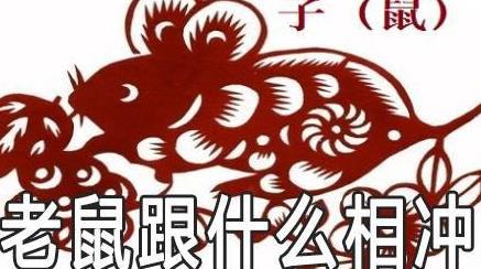 一、 先说八字——别把它当成数学题