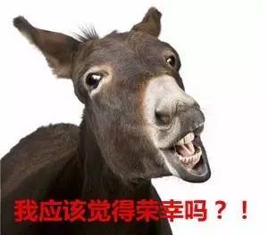特质一：倔得像头驴的钢铁战士