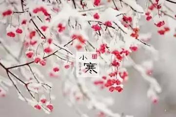 小寒结婚吉日有哪些，小寒这天结婚有什么忌讳需要注意吗？