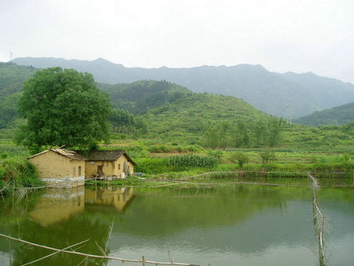 东莞傅,东莞茶山的风水大师