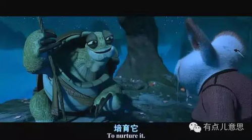 星座与命运的纠葛