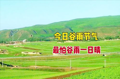 谷雨：养生之道， 别让湿气毁了身子