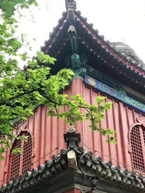 1）消失在雨雾中的行李箱