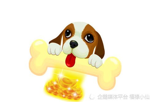 属狗人2026年方位吉凶与2022年属狗财运方位吉凶有何不同？